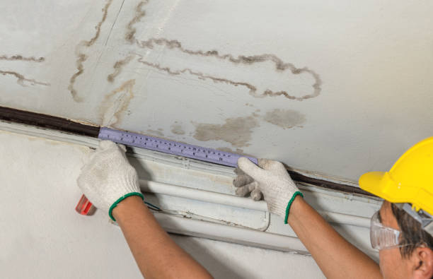 Reliable Mold Remediation contractor in South Jordan, UT by Water Damage Irwin